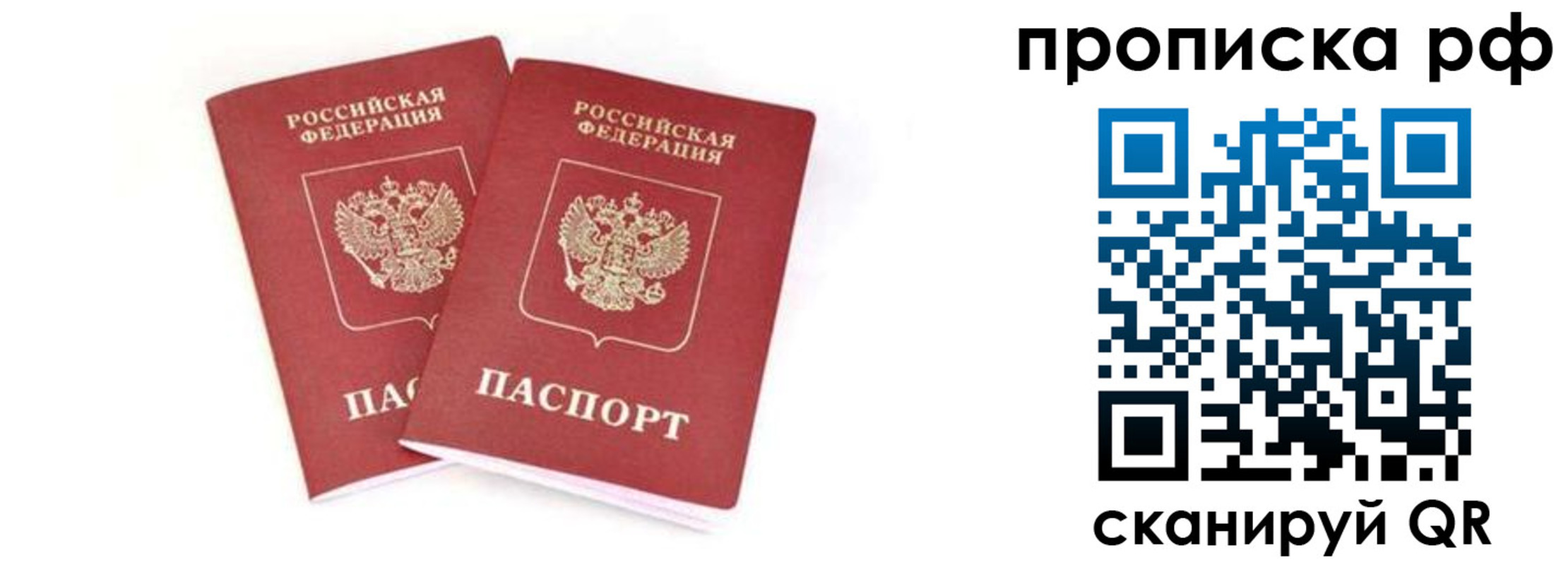 прописка поиск в Коле