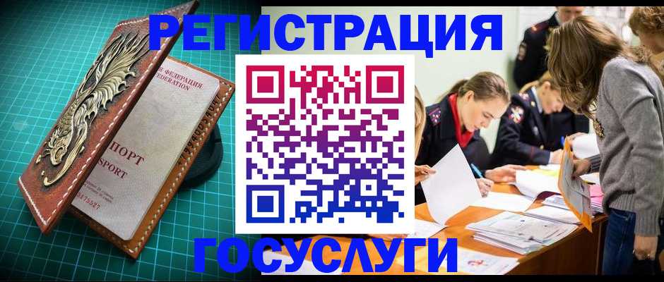 где прописаться в Коле